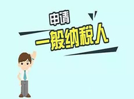 <b>一般纳税人申报</b>